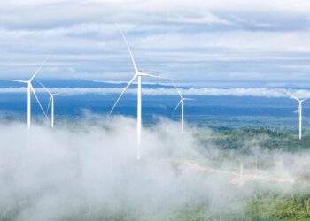 Kỳ tích 16 tháng đưa điện gió về Việt Nam