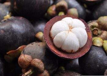 Mangosteen prices surpass durian in Malaysia amid farming shift