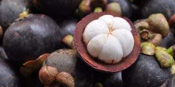 Mangosteen prices surpass durian in Malaysia amid farming shift