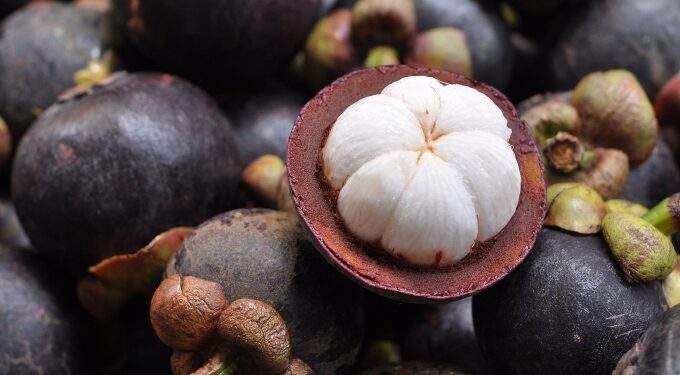 Mangosteen prices surpass durian in Malaysia amid farming shift