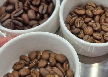 Mới tăng đã giảm, nông dân cân nhắc điều này