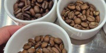 Mới tăng đã giảm, nông dân cân nhắc điều này