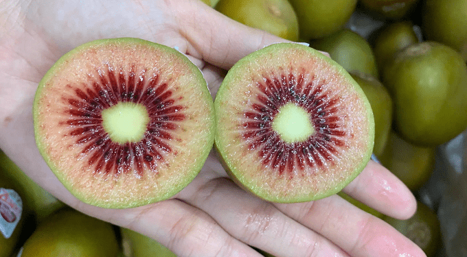 New Zealand red kiwifruit flies off shelves at US$13 per kg