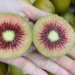 New Zealand red kiwifruit flies off shelves at US$13 per kg