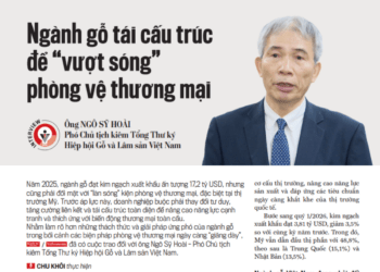 Ngành gỗ tái cấu trúc để “vượt sóng” phòng vệ thương mại - Ảnh 1