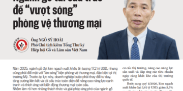 Ngành gỗ tái cấu trúc để “vượt sóng” phòng vệ thương mại - Ảnh 1