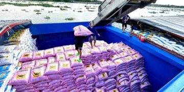 Ngành phân bón đối mặt nhiều thách thức