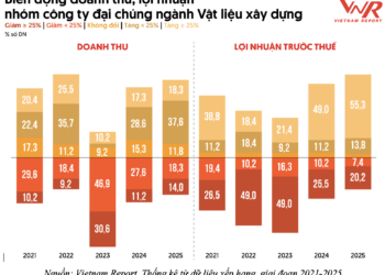 Ngành vật liệu xây dựng đang đứng trước nhiều biến số - Ảnh 1
