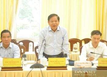 Ông Phạm Trung Cang muốn thuê 1.000ha đất ở Cần Thơ làm nông nghiệp giàu cỡ nào?