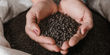 Pepper exports soar 31% in Q1 despite supply, shipping challenges