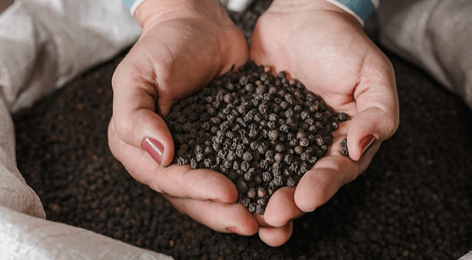 Pepper exports soar 31% in Q1 despite supply, shipping challenges