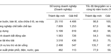 Doanh nghiệp thành lập mới và giải thể quý 1/2026 phân theo một số lĩnh vực hoạt động. (Nguồn: Cục Thống kê)
