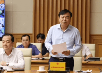 Thứ trưởng Nguyễn Hoàng Hiệp: năng lực thực thi pháp luật tại một số địa phương còn hạn chế. Ảnh VPG.