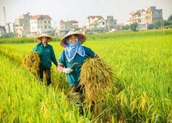 TechCoop subsidiary secures $11.75 million financing from Symbiotics