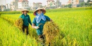 TechCoop subsidiary secures $11.75 million financing from Symbiotics