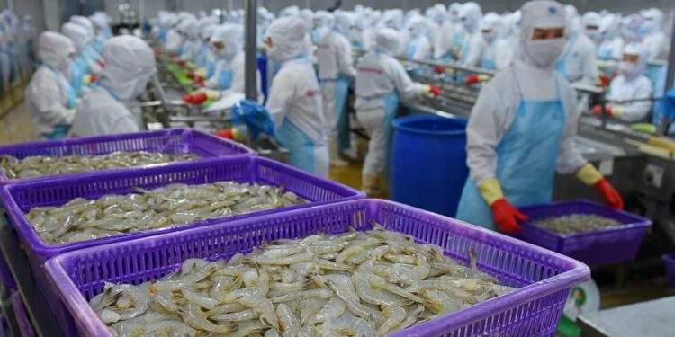 Từng được kỳ vọng lãi gấp đôi 'sau 1 đêm', đại gia tôm Việt Nam 'nhịn' lãi, quyết không hoàn nhập dự phòng giữa đòn bão thuế của Mỹ