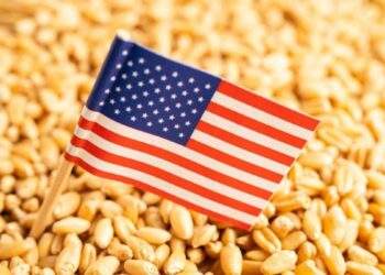 US wheat sees rising demand in Vietnam