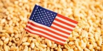 US wheat sees rising demand in Vietnam