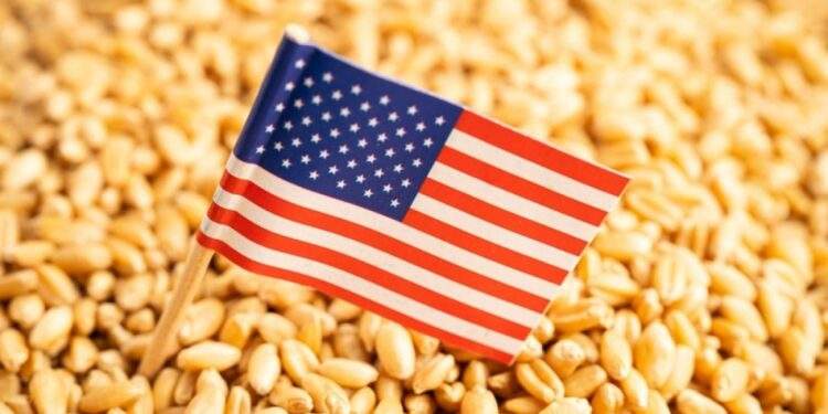 US wheat sees rising demand in Vietnam
