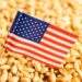 US wheat sees rising demand in Vietnam