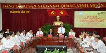 Vai trò T&T Group tại Cần Thơ