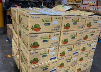 Lô bưởi đã được thông quan tại Australia. 