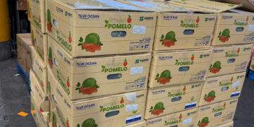 Lô bưởi đã được thông quan tại Australia. 