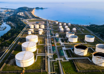 Which country buys the most crude oil from Vietnam?