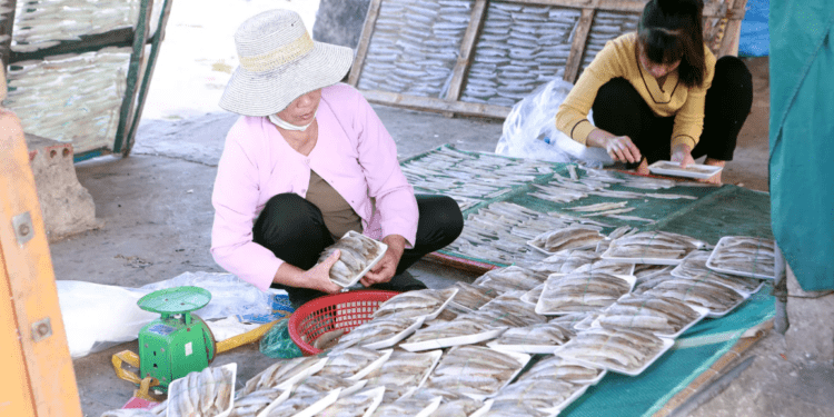 Phụ nữ làng biển Diêm Phố, xã Vạn Lộc, Thanh Hoá sơ chế hải sản, làm công tác hậu cần nghề biển...