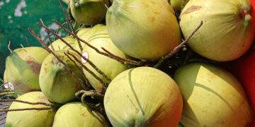Coconut prices double as heatwave spurs demand