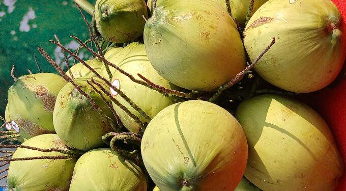 Coconut prices double as heatwave spurs demand