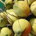 Coconut prices double as heatwave spurs demand