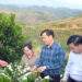 Giá cà phê giờ minh bạch, không ép được nữa
