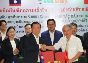 HAGL bắt tay tỉnh Champasak phát triển 5.000 ha cà phê