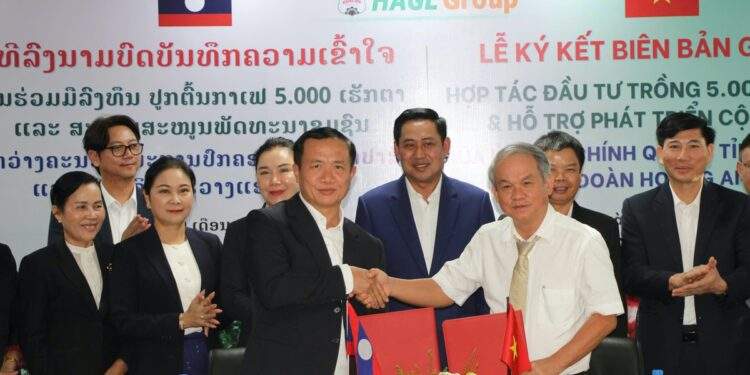 HAGL bắt tay tỉnh Champasak phát triển 5.000 ha cà phê
