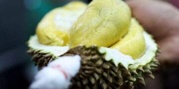 Malaysian durian farmers use technology to fight fake Penang fruits