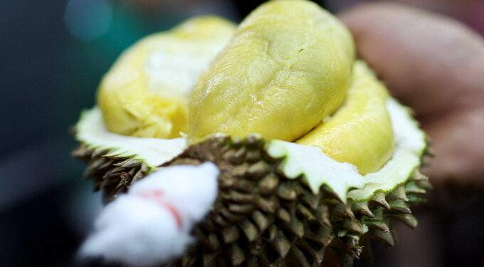 Malaysian durian farmers use technology to fight fake Penang fruits