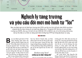 Nghịch lý tăng trưởng và yêu cầu đổi mới mô hình từ “lõi” - Ảnh 1