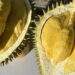 Ri6 durian prices plunge to record low on surging Thai supply