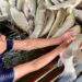 Sau trận mưa dông, gần 9 tấn cá nổi trắng sông Lam, hé lộ nguyên nhân ban đầu
