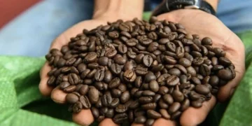Which Southeast Asian country is world's second-largest coffee exporter?