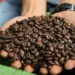 Which Southeast Asian country is world's second-largest coffee exporter?
