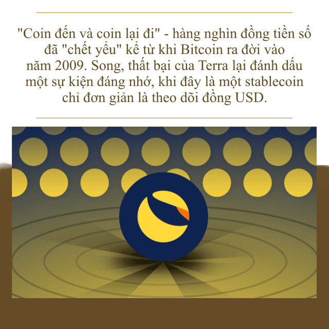 Nhìn lại 1 tuần đầy nỗi đau của thị trường tiền ảo - Ảnh 2. Nhìn lại 1 tuần đầy nỗi đau của thị trường tiền ảo - Ảnh 2.