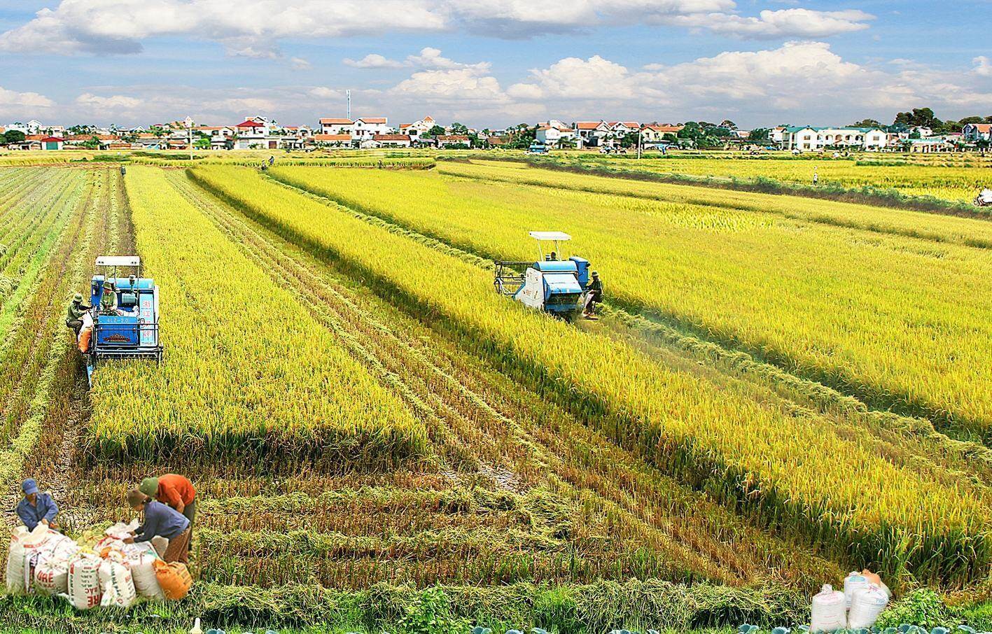 Doanh nghiệp tăng tốc đầu tư ứng dụng vi sinh vật có lợi cho cây trồng - Ảnh 1. Doanh nghiệp tăng tốc đầu tư ứng dụng vi sinh vật có lợi cho cây trồng - Ảnh 1.