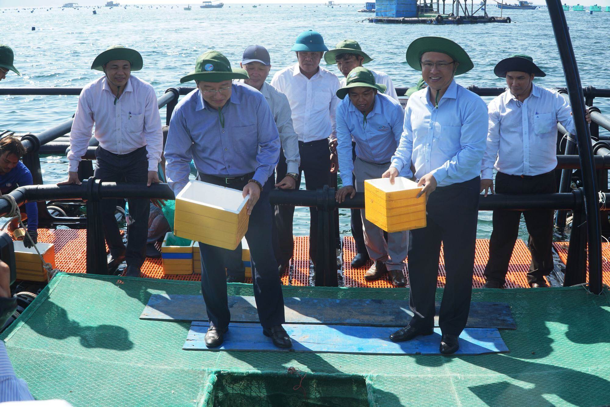 Lần đầu tiên Khánh Hòa thí điểm mô hình nuôi lồng HDPE tại khu vực biển hở - Ảnh 2. Lần đầu tiên Khánh Hòa thí điểm mô hình nuôi lồng HDPE tại khu vực biển hở - Ảnh 2.